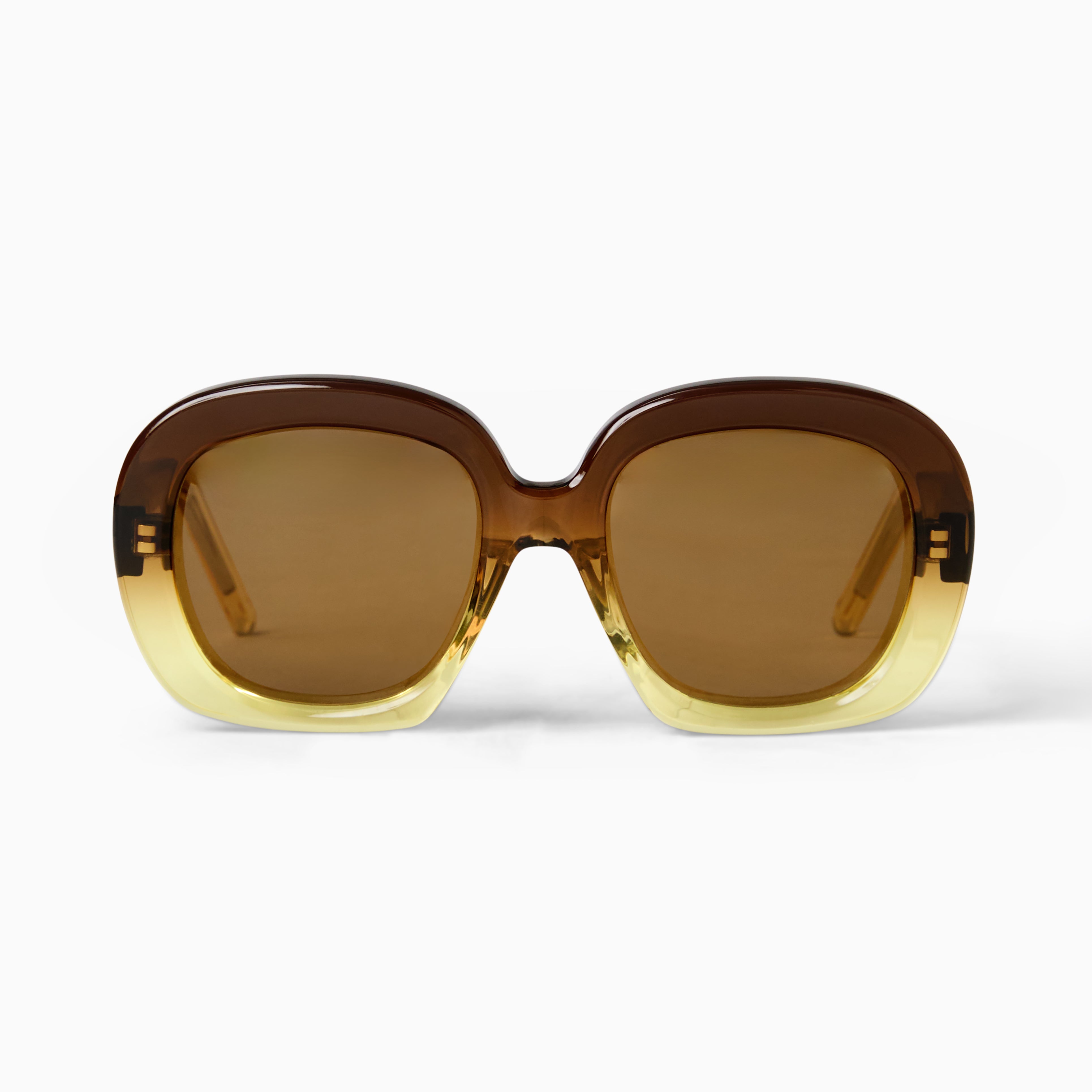 Emanuella Oversized Square Frame Sunglasses in Brown | Stylish