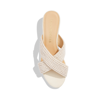 Dolphin Mini Wedge